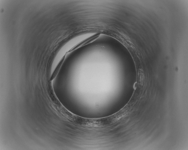 X0000081420550200701261556