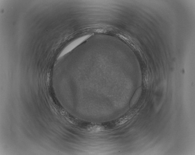 X0000081420551200701261556