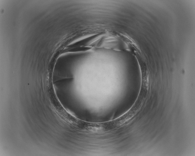 X0000081420552200701261556