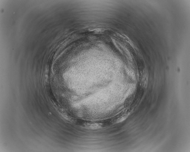 X0000081420553200701261556