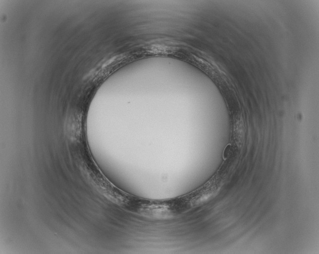 X0000081420554200701261556