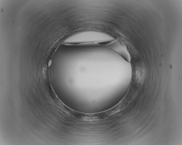 X0000081420556200701261556