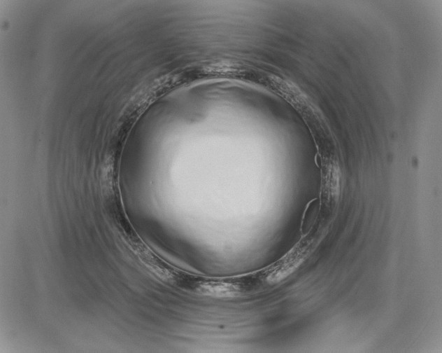 X0000081420557200701261556