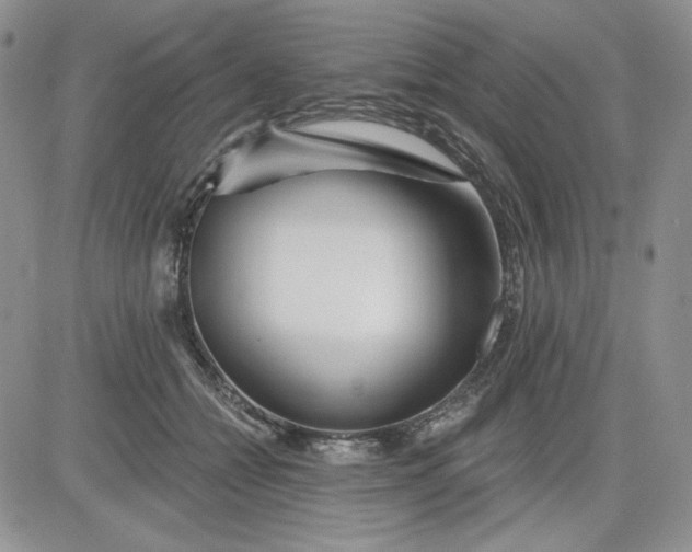 X0000081420558200701261556