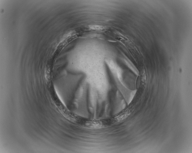 X0000081420559200701261556