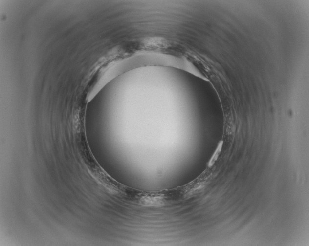 X0000081420560200701261556