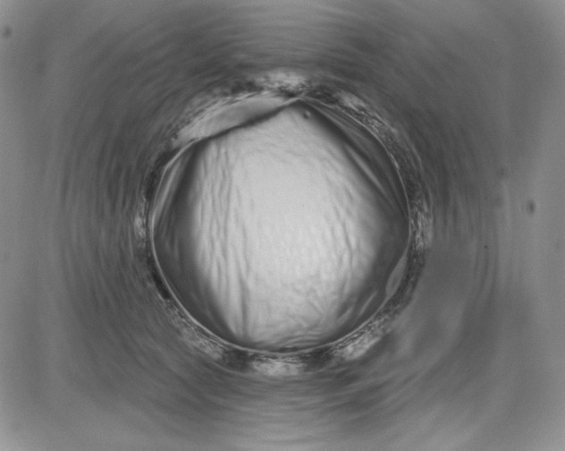 X0000081420561200701261556