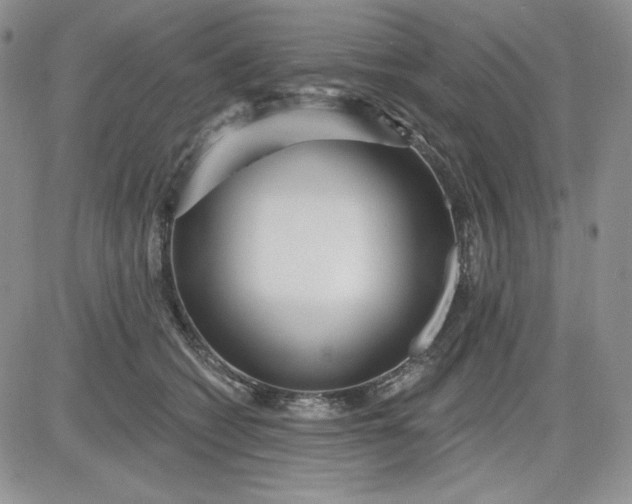 X0000081420562200701261556