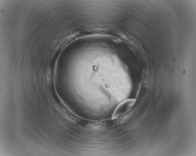 X0000081420563200701261556