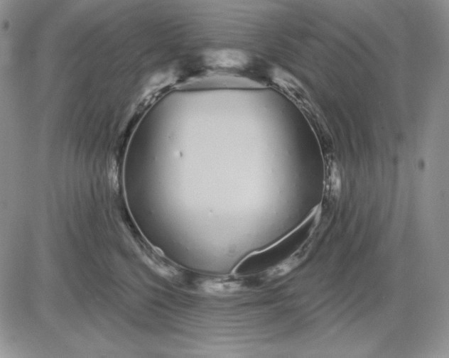 X0000081420568200701261557