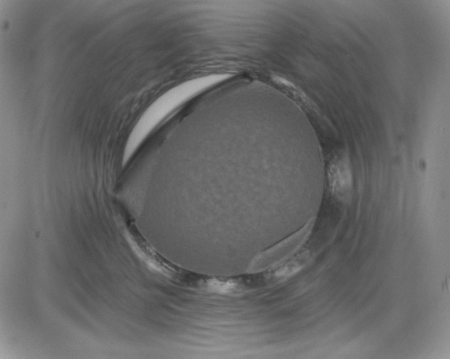 X0000081420570200701261557