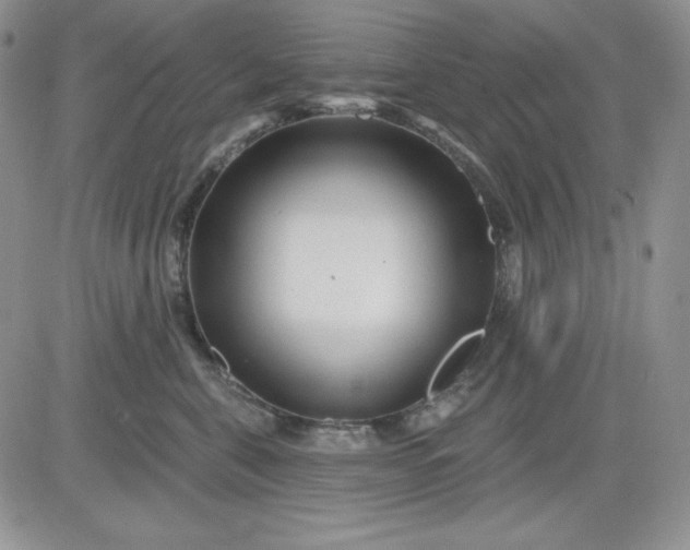 X0000081420571200701261557