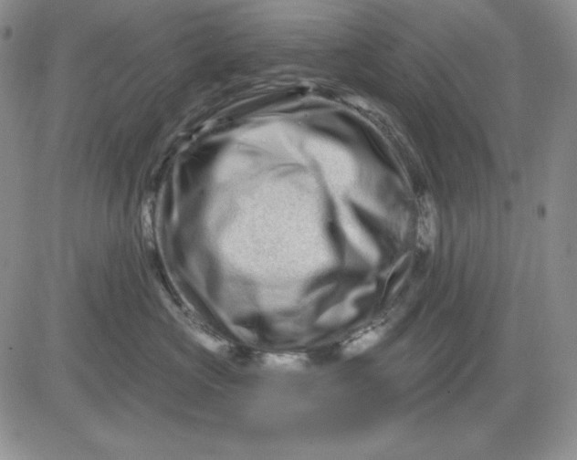 X0000081420573200701261557