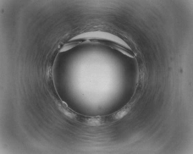 X0000081420574200701261557