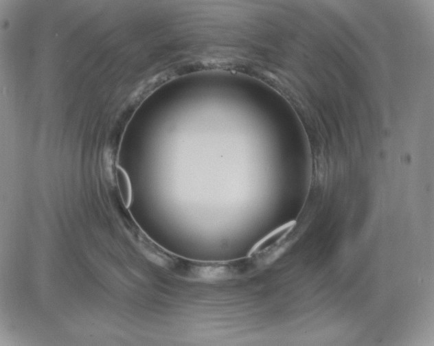 X0000081420575200701261557