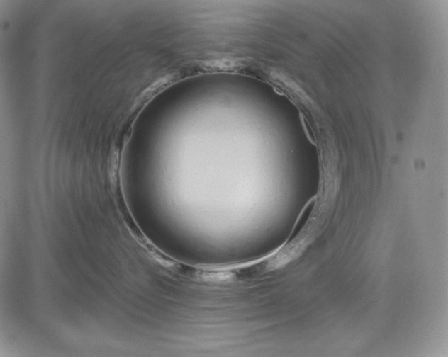 X0000081420576200701261557