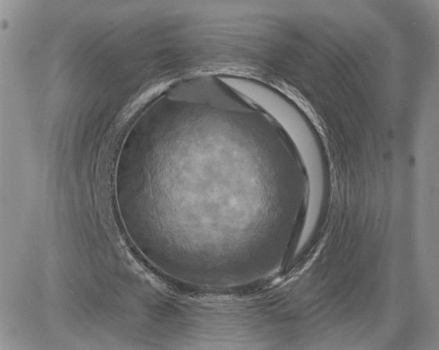 X0000081420577200701261556