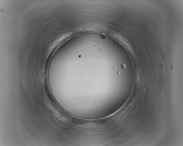 X0000081420578200701261556