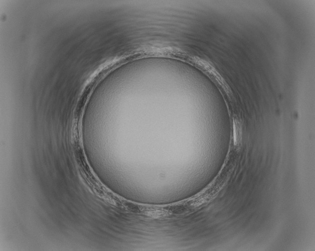 X0000081420579200701261556