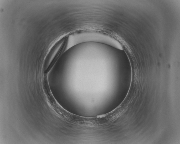 X0000081420580200701261556