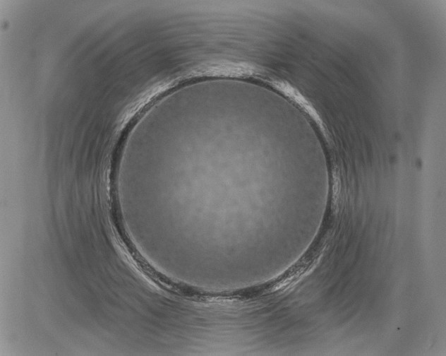 X0000081420581200701261556