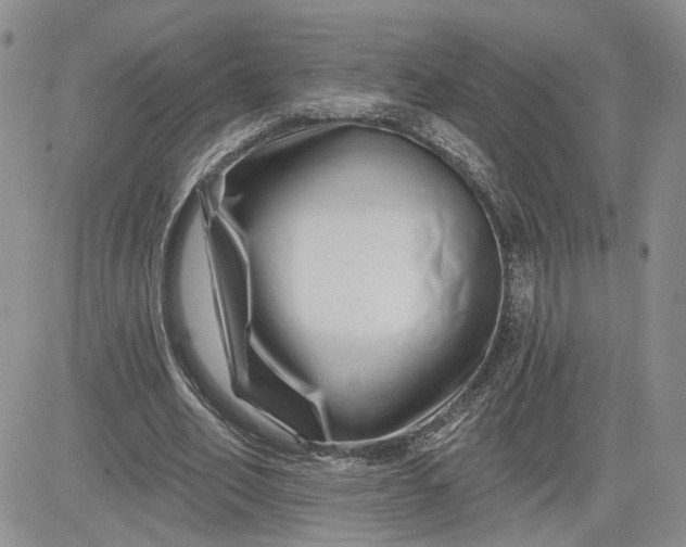 X0000081420582200701261556