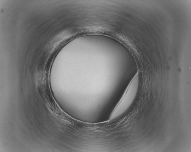 X0000081420583200701261556