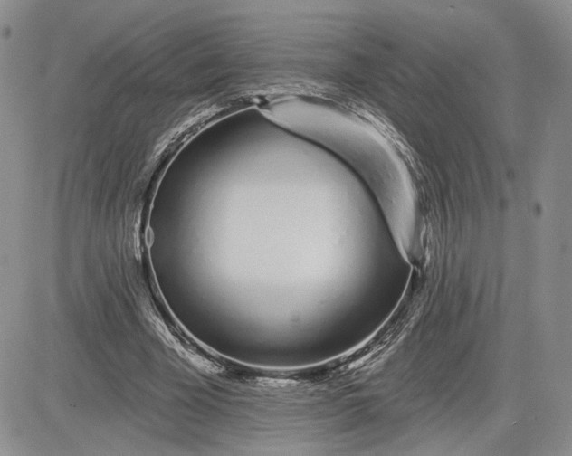 X0000081420585200701261556