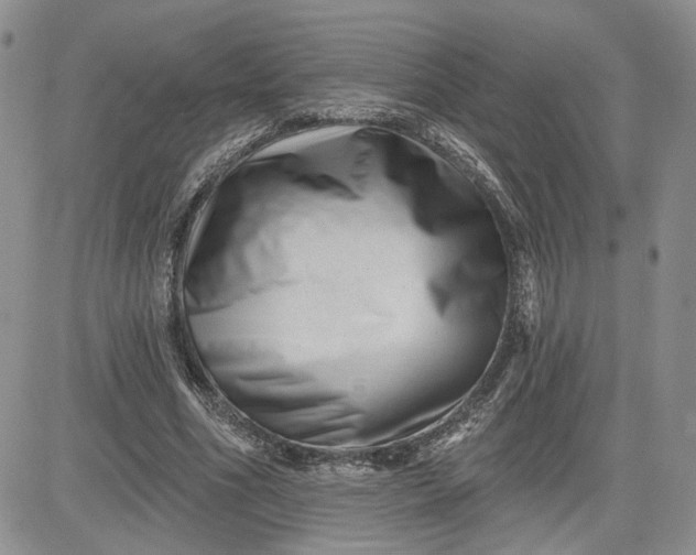 X0000081420586200701261556