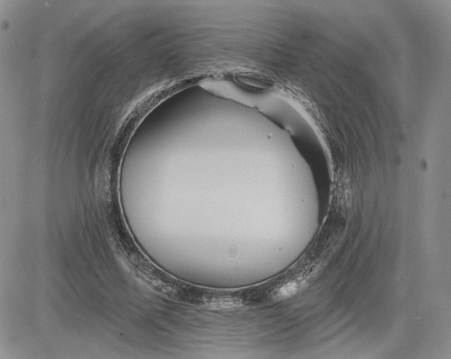 X0000081420587200701261556