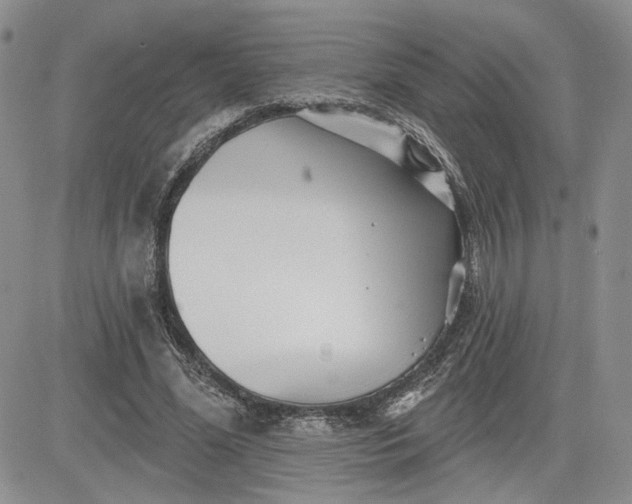 X0000081420588200701261556