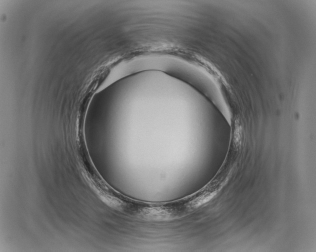 X0000081420589200701261556