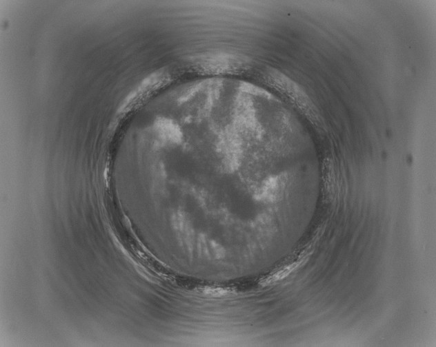 X0000081420590200701261556