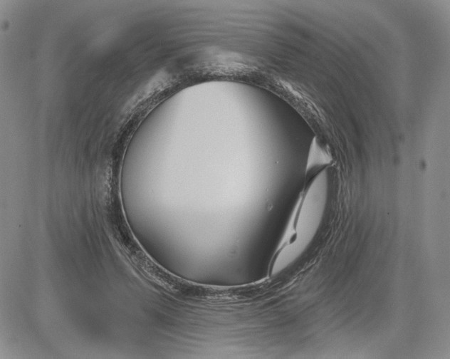 X0000081420591200701261556