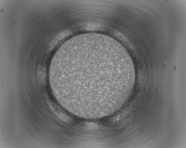 X0000081420592200701261556