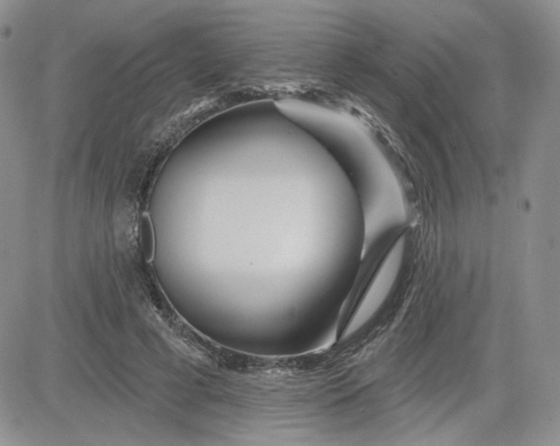 X0000081420593200701261556