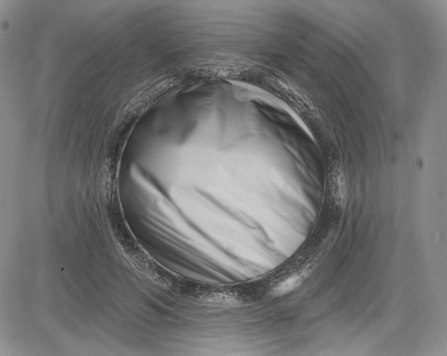 X0000081420594200701261556