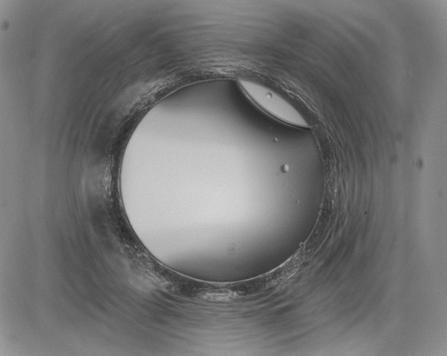 X0000081420595200701261556