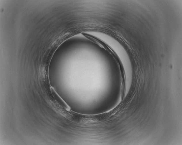 X0000081420597200701261556