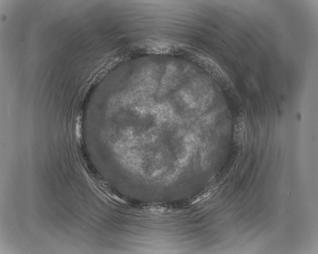 X0000081420598200701261556