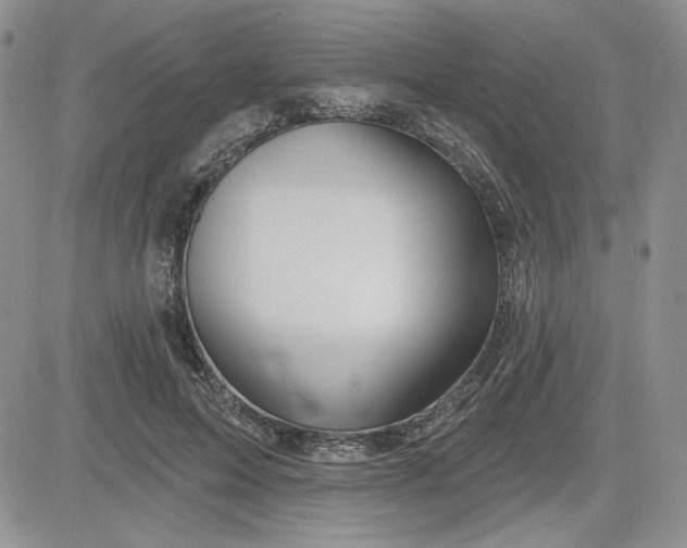 X0000081420599200701261556