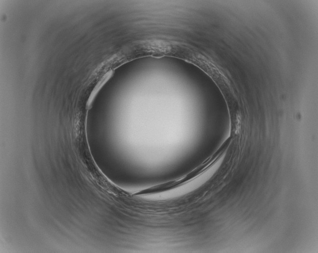 X0000081420600200701261556