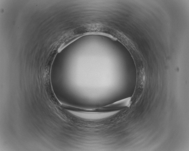 X0000081420601200701261556