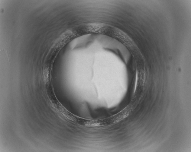 X0000081420602200701261556