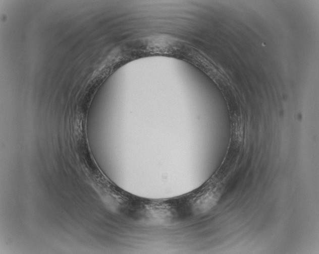 X0000081420603200701261555