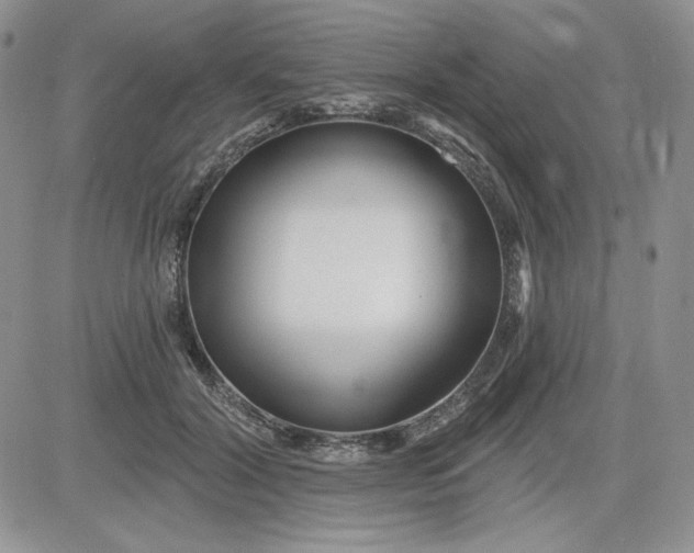 X0000081420604200701261555