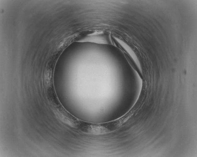 X0000081420605200701261555