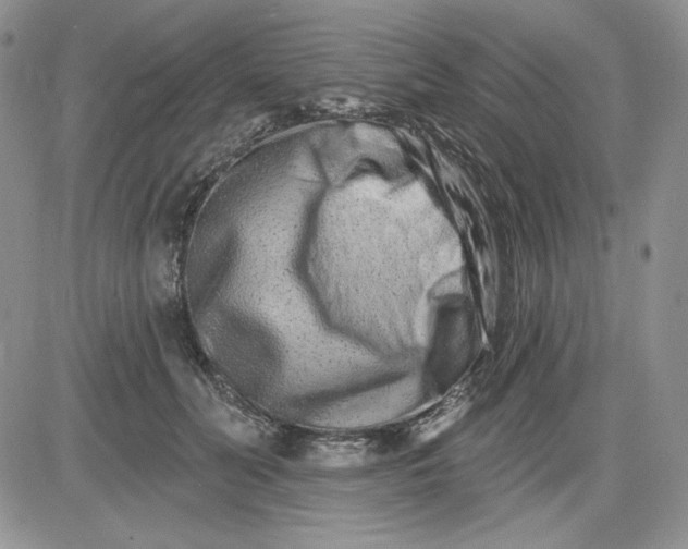 X0000081420606200701261555