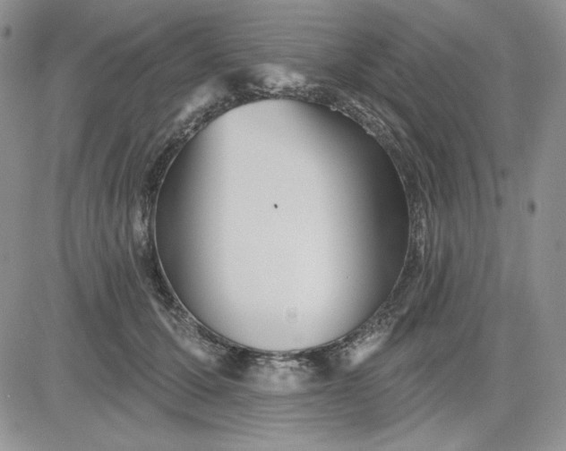 X0000081420607200701261555