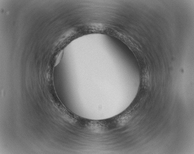 X0000081420608200701261555